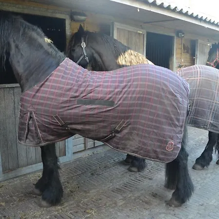 Gasthuis Sterrenhoeve